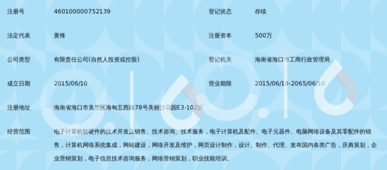 海南票票通电子商务 一站式广告代理服务专家